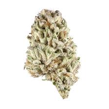 Alumiquista Cannabis Strain UK