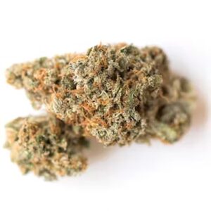 Biscotti CBD Marijuana Flower UK