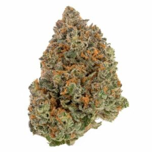 Fruitboots CBD Weed Strain UK