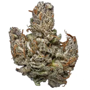 Hindu Kush Marijuana Strain UK