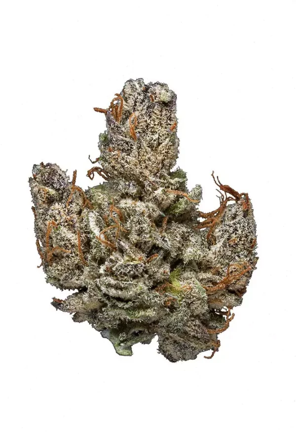 Hindu Kush Marijuana Strain UK