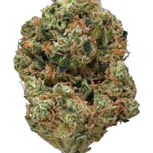 Obama OG Kush Marijuana Strain UK