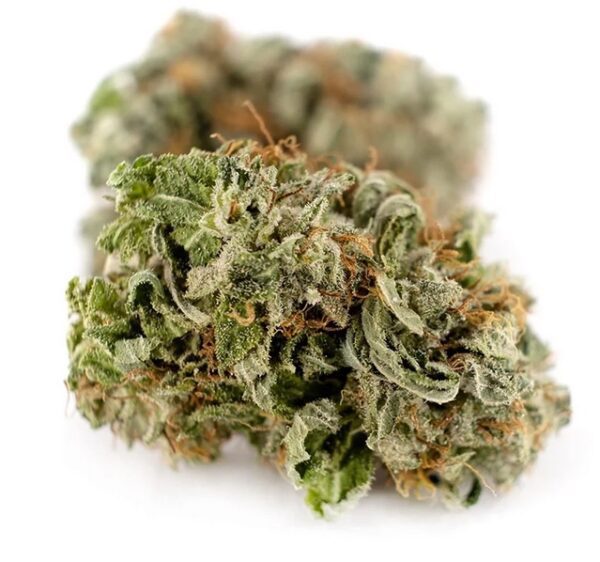 Orange Glue Marijuana Strain UK