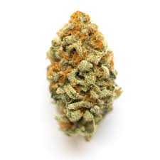 Panama Red Marijuana Strain UK