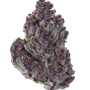 Purple Cheese Hemp Flowers UK