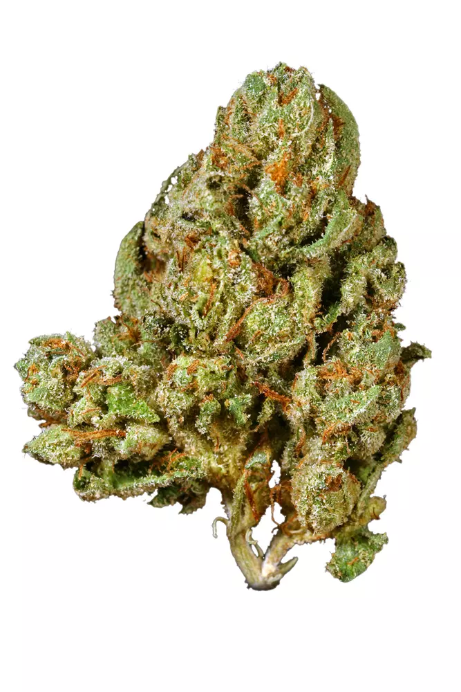 Ray Charles Marijuana Strain UK