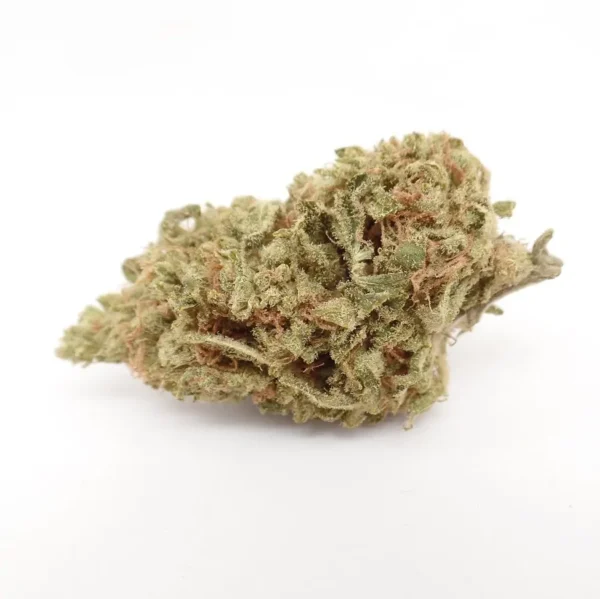 Shangri LA Marijuana Strain