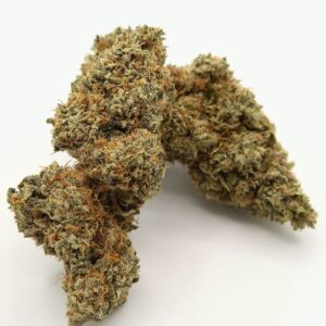 White CBD Hemp Strain UK