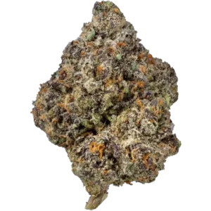 Dr. Cookies Cannabis Strain UK