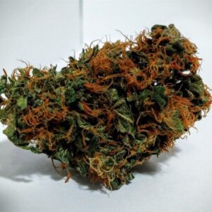 Durban Poison Marijuana Strain UK