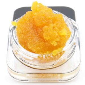 Shark Bite Budder – Hybrid  UK