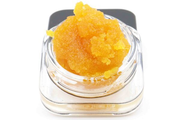 Shark Bite Budder – Hybrid  UK