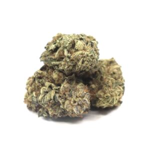 Og Malawi Haze Marijuana Strain UK