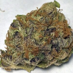 Platinum Champagne Weed Strain UK