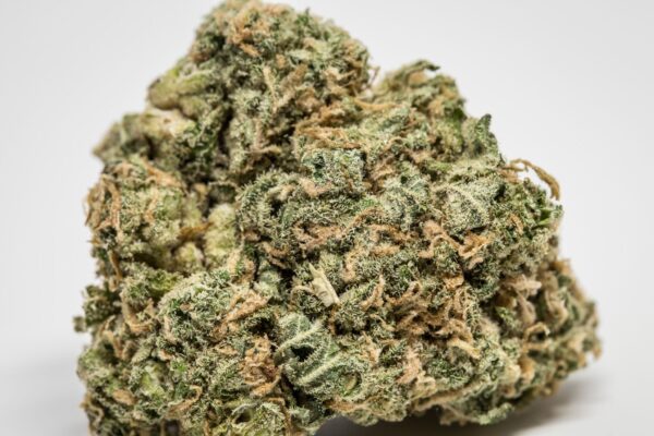 Shiva Skunk Marijuana Strain UK