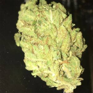 Super Sour Diesel Cannabis Strain UK