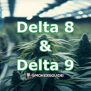 Delta 8 and 9 Marijuana Products UK